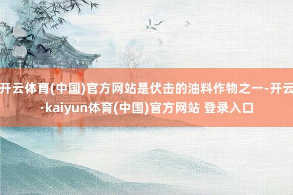 开云体育(中国)官方网站是伏击的油料作物之一-开云·kaiyun体育(中国)官方网站 登录入口