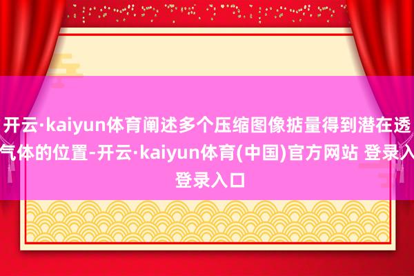 开云·kaiyun体育阐述多个压缩图像掂量得到潜在透露气体的位置-开云·kaiyun体育(中国)官方网站 登录入口