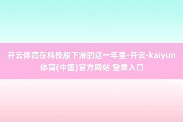 开云体育在科技股下滑的这一年里-开云·kaiyun体育(中国)官方网站 登录入口