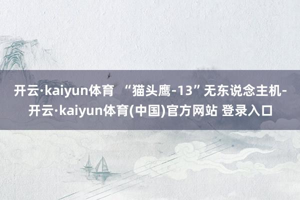 开云·kaiyun体育  “猫头鹰-13”无东说念主机-开云·kaiyun体育(中国)官方网站 登录入口